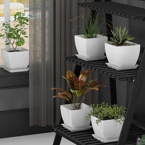 Image of (Pack of 5 6 inch Plant Flower Pots with Drainage Holes and Tray Saucers Outdoor Indoor - Ideal for Indoor Plants, Succulents, and Small Pots for Plants (Square LINE, Multi Colour)