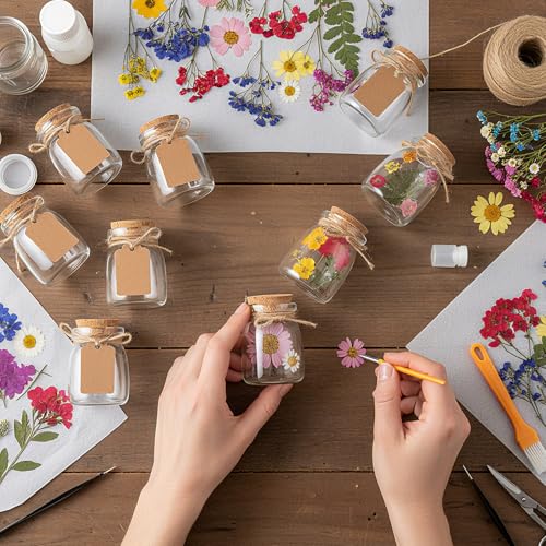 Set de 162 piezas de flores secas y frascos de vidrio con tapón miniatura 4