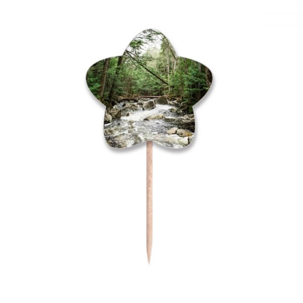 Drapeaux Cure-dents Étoiles Water Stream Science Nature Paysage pour Cupcake et Gâteau