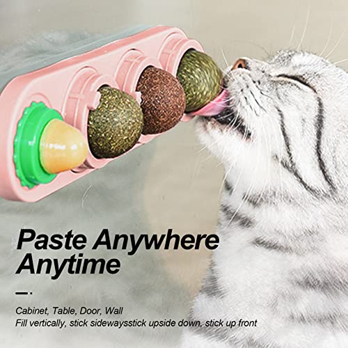 Catnip gato | Bolas comestíveis lanche gato seguro com catnip natural saudável,Bolas comestíveis nat
