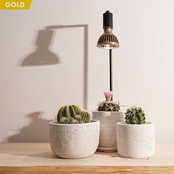 新品　TSUKUYOMI 10W ゴールド 2個セット TSKUYOMI 10W ゴールド ブロンズ（ツクヨミLED 10W）AKADAMACHAN MODEL