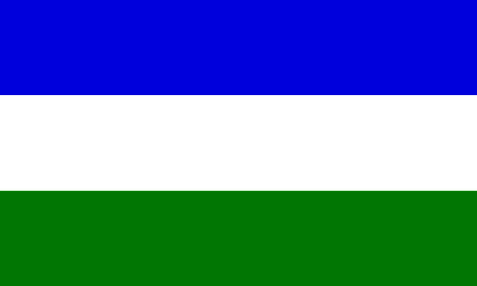 Drapeau Rorainopolis抗 anti-UV grand format qui ne décolore pas