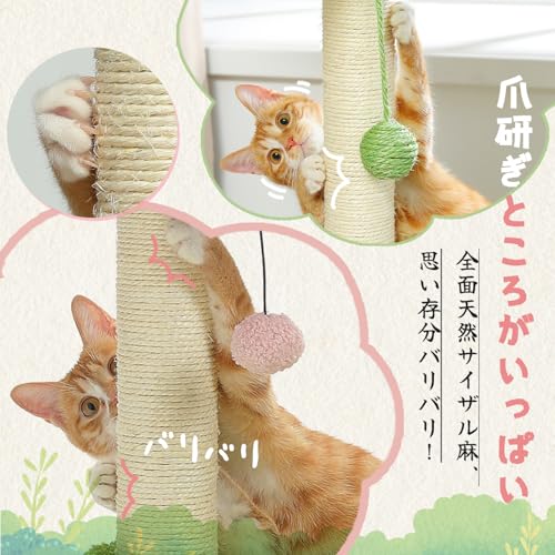 PAWZ Road キャットタワーミニ の商品画像 6