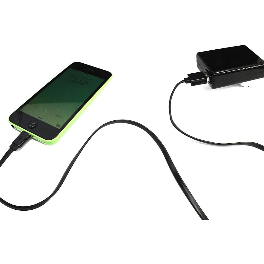 Amazon.co.jp: クオリティトラストジャパン 【アップルMfi認証品】 iPhoneを充電・通信 ねじれにくいフラットケーブル採用Lightningケーブル  ブラック(100cm) QL-041BK : パソコン・周辺機器