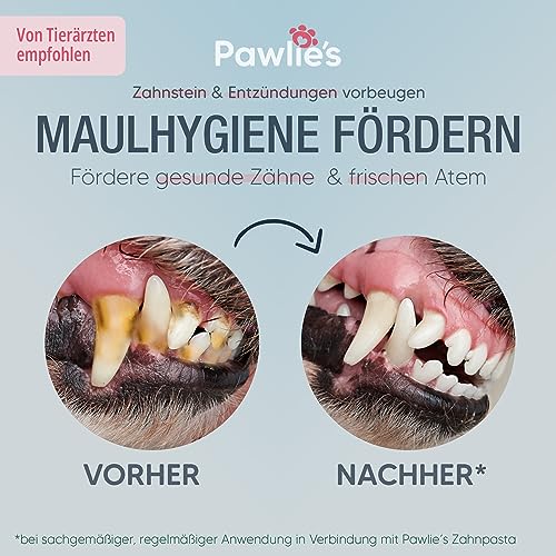 Pawlie's Zahnbürste für Hunde und Katzen | Praktische Hundezahnbürste Fingerling zur Zahnpflege | Zähne putzen Hund - Cat & Dog Toothbrush | Fingerzahnbürste Welpen | Hunde Zahnpflege (2 Stück)