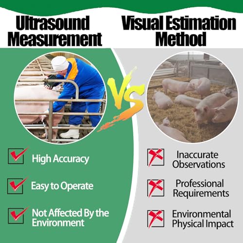 Analizzatore veterinario di ultrasuono con la sonda 3.5/6.5MHz per uso animale - strumento diagnostico portatile ed efficace