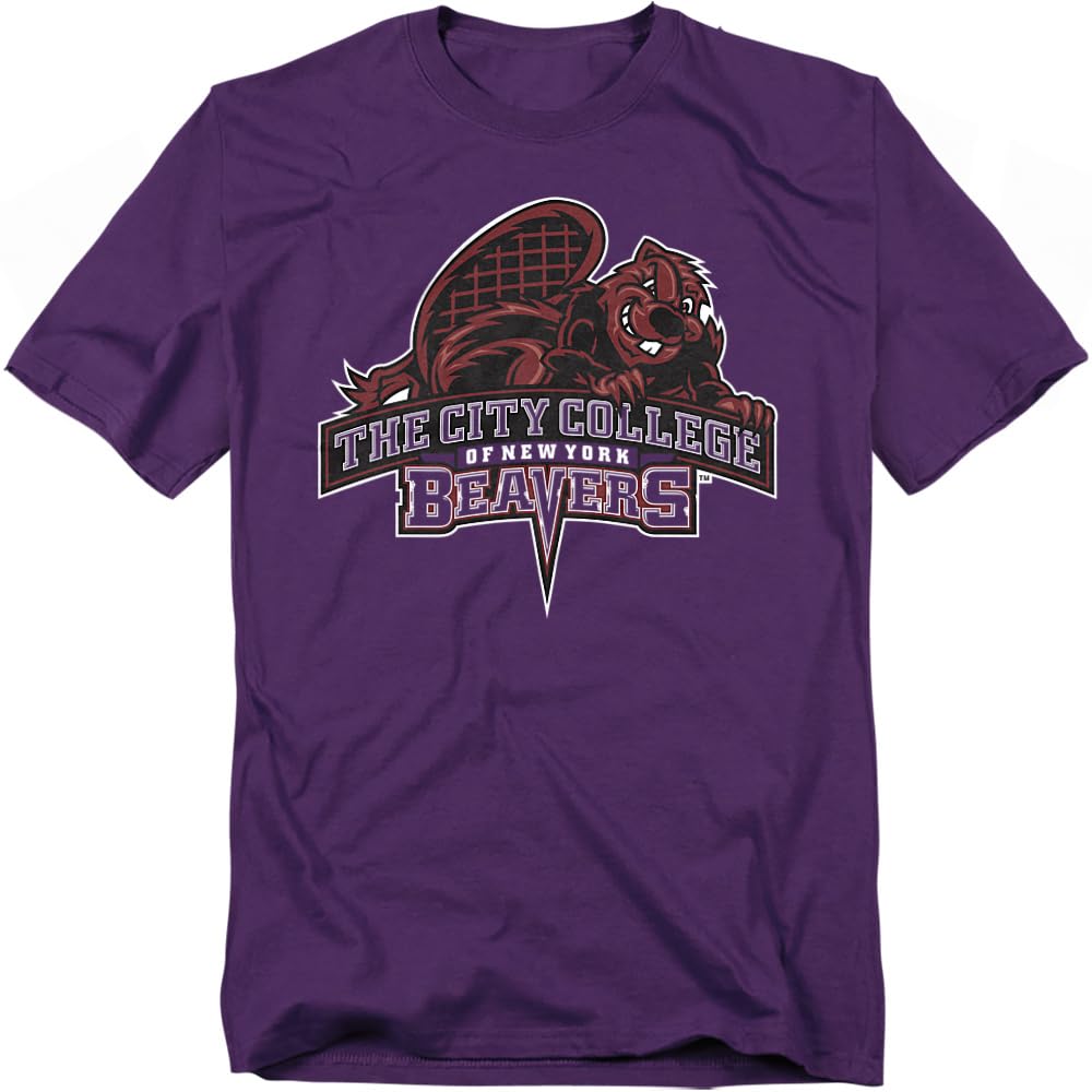LOGOVISION Official Collegiate Distressed Primary Logo Adult T-Shirt Collection — view 84