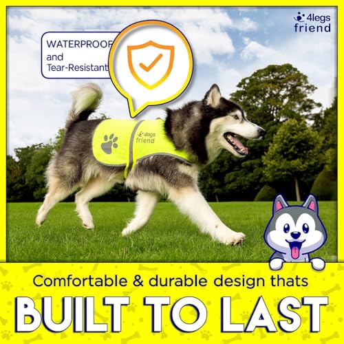 Dog Safety Reflective Vest (5 Sizes, Small) - High Visibility for Outdoor Activity Day and Night, Keep Your Dog Visible, Safe From Cars & Hunting Accidents | Blaze Orange by 4LegsFriend - Image 5