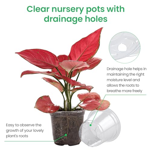 Save 60% on Bluepro 36-Pack Clear Nursery Pots - Variety Sizes