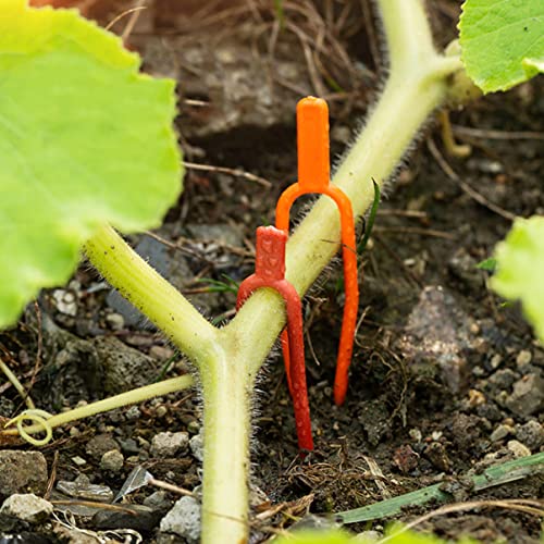 Happyyami 400pcs Strawberry Fixing Pin Clamp Vegetables Stolons Vines Stems Plant Supplies Securing Reusable for Fastening Gardening Watermelon Support Fork Tools Tool Clip Fork: Garden - Image 4