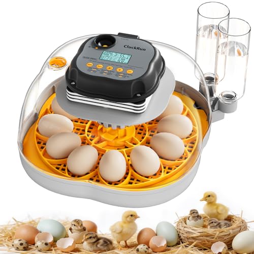 CluckRun 12 Egg Incubator
