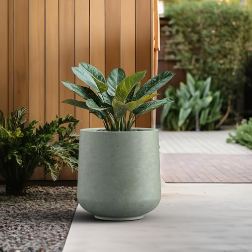 Image of Kante Large Round Curved Mint Green Concrete Planter 16.5 inch Dia, Outdoor | Rubber Plug for Indoor, Drainage for Garden, All-Weather Cement Tree Pot, Handcrafted, Anti-Frost & UV, Modern Home Decor