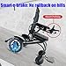 Juodkeo Foldable Electric Wheelchair for Adults, Travel Powered Wheel Chairs with 360W Motor, All Terrain, for Outdoors, Travel, Shopping