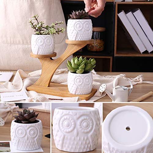 Pot de fleurs chouette et son plateau sur la table du salon moderne