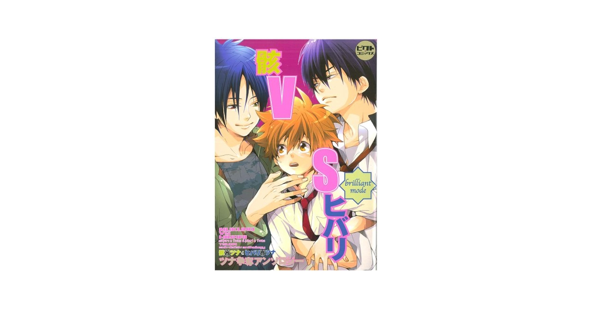 【中古】 骸ｖｓヒバリ 骸×ツナ＆ヒバリ×ツナツナ争奪アンソロジー Ｂｒｉｌｌｉａｎｔ　ｍｏｄｅ/ピクト・プレス/中条亮 骸×ツナ、ヒバリ×ツナonlyアンソロジー〕 骸VSヒバリ~brilliant