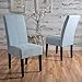 Christopher Knight Home Pertica Fabric Dining Chairs (Set Of 2), Light Sky
