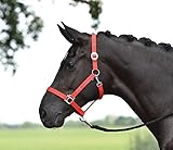 Busse