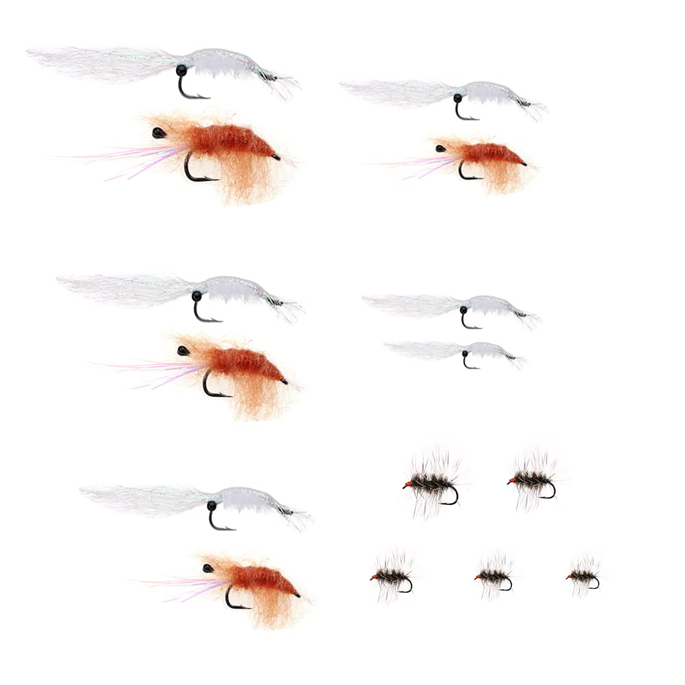 Fly Fishing Lure in Box