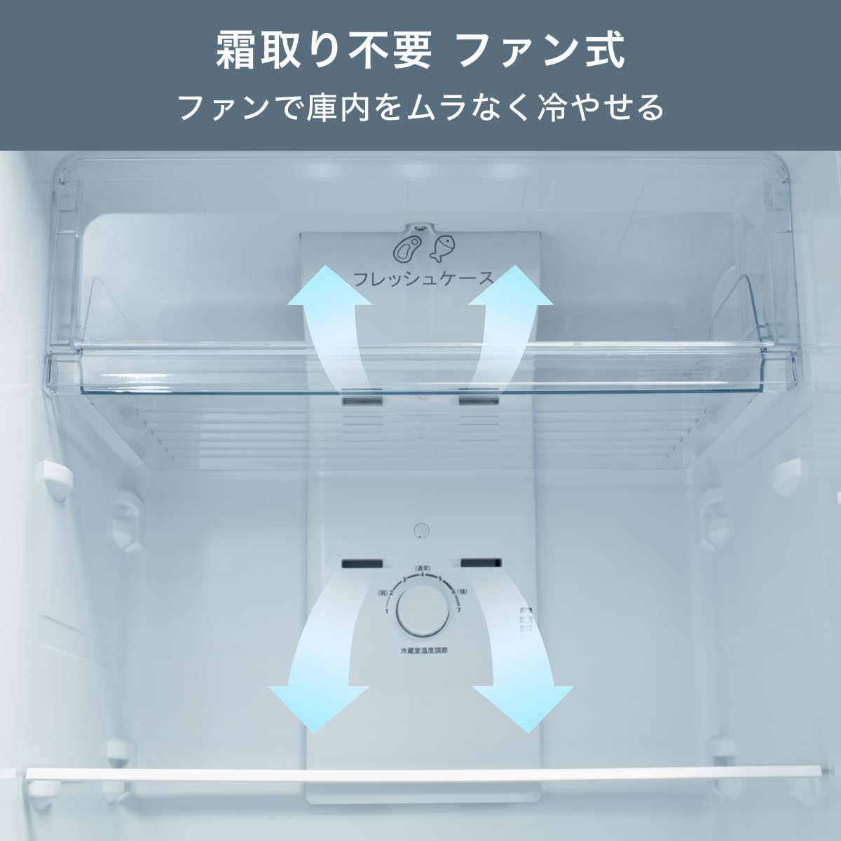 Hisense ハイセンス HR-B2501 55cm 250L 自動霜取り 2ドア冷蔵庫