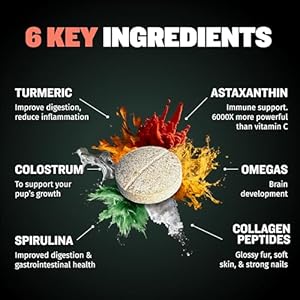 Bully Max 2in1 Puppy Vitamins  30 Chewable Tablets for Development and Growth of Puppies  Dog Vitamin Tablet Supplements for Small Dogs Large Breed Pups and Growing Dogs feed 12 Tabs Per Day  Cucciolini Doodles Bully max 2 in 1 puppy vitamins  30 chewable tablets for development and growth of puppies  dog vitamin tablet supplements for small dogs large breed pups and growing dogs feed 1 2 tabs per day   cucciolini doodles