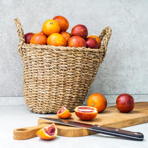 Orange Seeds, Habitat Restoration Planting, Native pollinator Support, Ecological Garden additions 80pcs