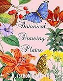 paper plate drawing game halloween  Botanical Drawing Plates: Draw flowers & plants the classical way (English Edition)
