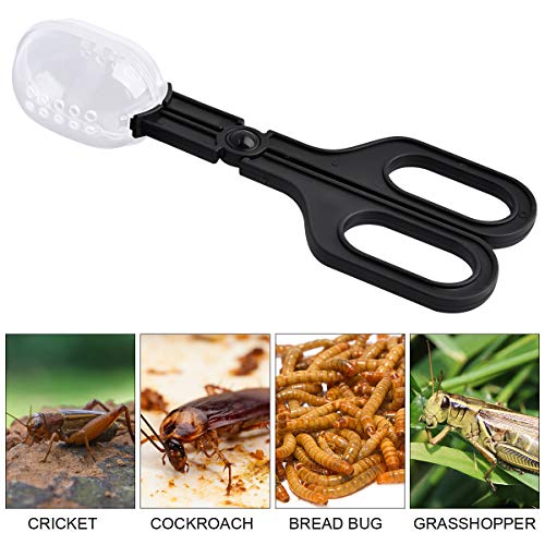 WEAVERBIRD Feeding Clip Aquarium Reptile Clips Cleaning Supplies for Small Reptile Animals - Thumbnail 2