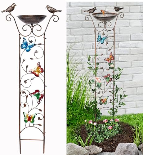 FQIPEI K[fgX ̐Ɖat K[fjOptFX R\ o  ACr[ N}`X |x ȒPg  S1M 