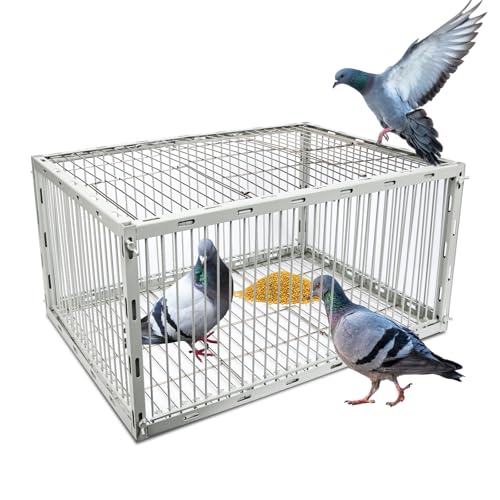 Heavy-Duty Pigeon Trap Cage with Escape-Proof Design – Auto Bird Traps for Large Birds | Iron Powder-Coated Bird Trap Cage for Multiple Pigeons – Rust-Resistant-S Size
