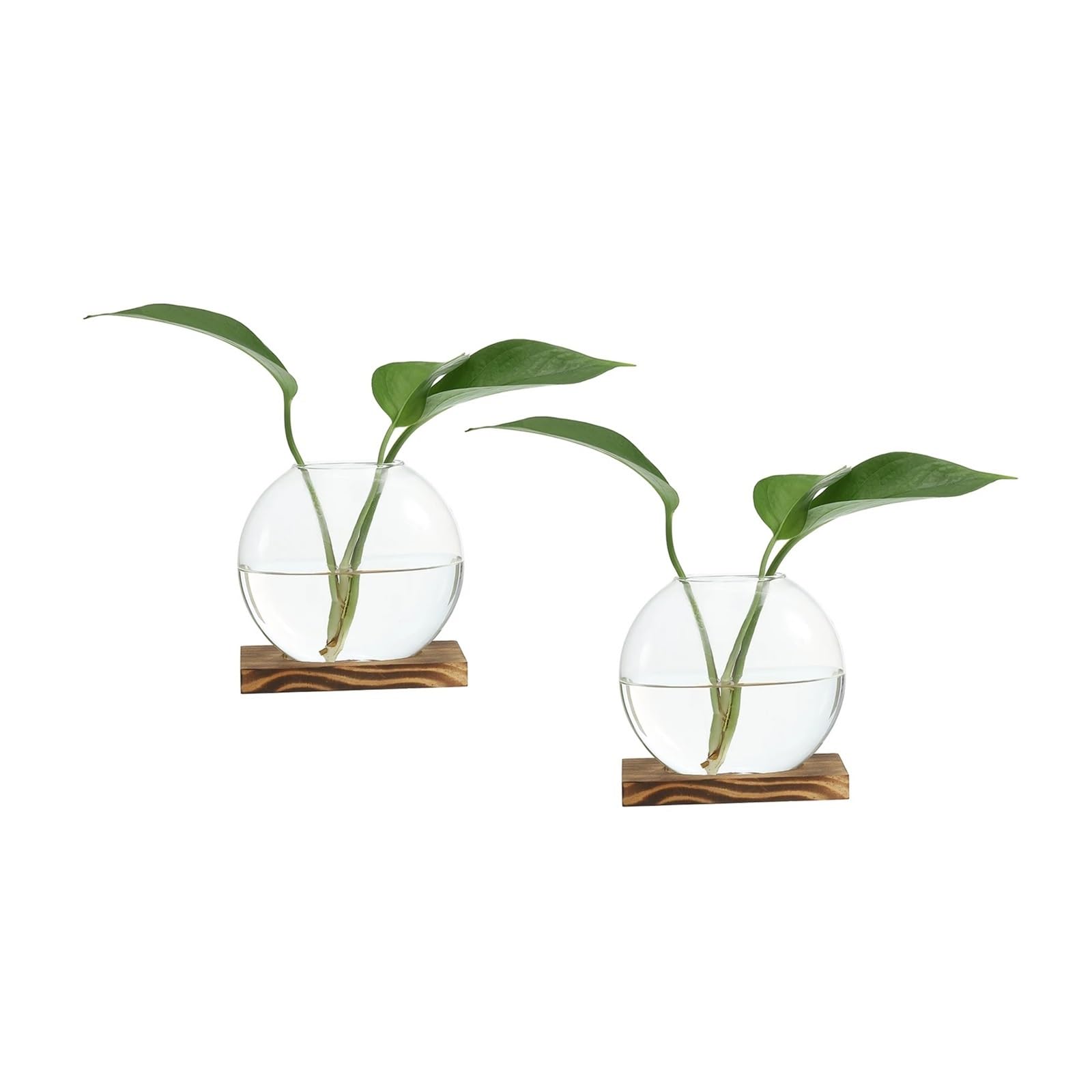 Soliflore en Verre Vase hydroponique en Verre avec Plateau Bois, 2 pièces, Vases à bourgeons, Station de Propagation des Plantes, Fleurs for Chambre Coucher, décoration Table Maison(Brown)