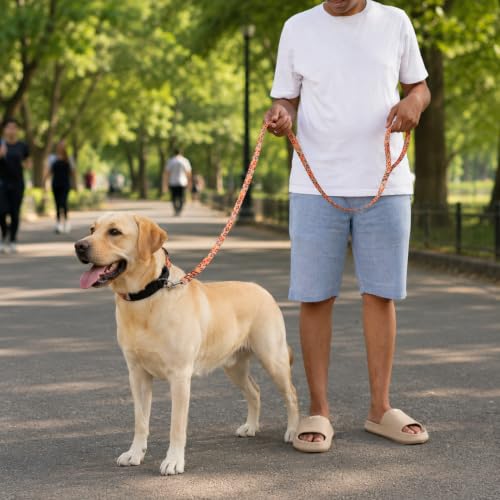 Image of Wooflix Heavy Duty Nylon Dog Leash | Anti Slip Padded Handle Long Dog Leash | Highly Reflective Leash for Dogs | Dog Rope for Medium & Large Dogs | Dog Training Leash | (Dogo Orange, 6.5 Feet Long)