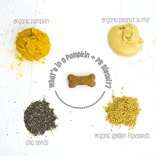 Bobby Bambis Gourmet Dog Bakery Pumpkin Pb Organic Dog Biscuits
