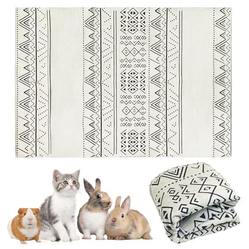 JUNENTER ETMP[WCi[ ėp\ 63C` 􂦂ETMtA}bg \tgpQ P[Wt[Opbh ~߃ybgO  q L gg tFbgp