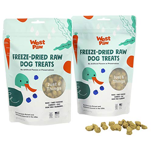 WEST PAW Freeze-Dried Raw All Natural Dog and Puppy Training Treats, Single Ingredient, Humanely Raised and Sustainably Sourced, Made in USA, Duck with Superfood, 2 Pack