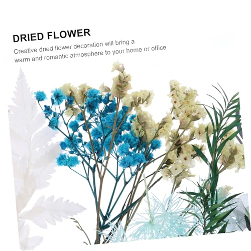 Kit de flores secas para manualidades DIY DECHOUS miniatura 6