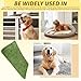 WIYETY Hundeklo Kunstrasen Hundetoilette, 50x70cm Welpentoilette Trainingsunterlage, Training Pee Pads, Waschbar Hunde Training Rasenmatte, Wasserdicht Hundetoilette für Zuhause, Wohnung