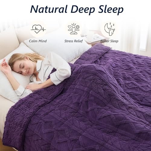 Image of Mr. Sandman Fleece Weighted Blanket for Adults Queen Size 15lbs, Heavy Throw Bed Blankets for Sleep and Calm, Soft Warm Sherpa Blanket for Winter, 60 x 80 Inches, Dark Purple