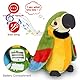 Sunshine smile Elektrische Sprechender Papagei Spielzeug,Lustiges Sprechender Papagei,Nachsprechendes Plüschvogel,Talking Parrot Plüsch Spielzeug,Papagei Vogel Plüschtier mit Wiedergabefunktion