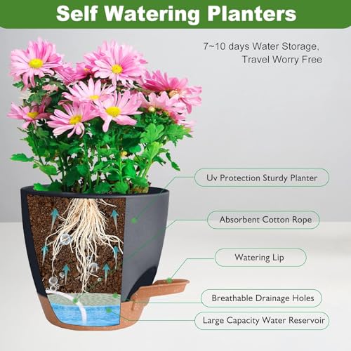 Image of INKULTURE Flower Pot for Indoor Plants - Self Watering Plant Pot Set of 5, Multi Size Plastic Planter with Drainage Hole & Watering Lip (7 /6.5 /6 /5.5 /5 Inch) Black | Pots for Home, Office & Succulents