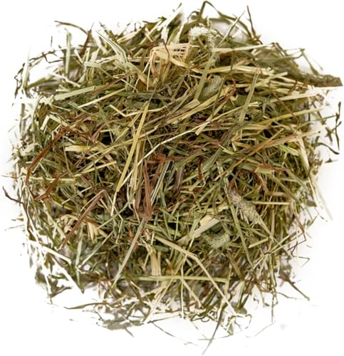 Premium Timothy Hay for Rabbits and Guinea Pigs - High Fibre Fresh Green Feeding Hay Bale 10kg - Dust Free Natural Pet Food, Rabbit Hay, Guinea Pig Hay