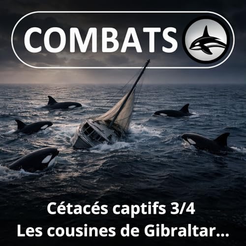 S05E58 C&eacute;tac&eacute;s captifs en France 3/4 : Les "attaques" des cousines de Gibraltar...
