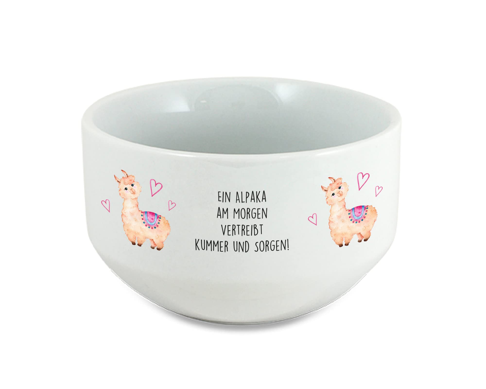 Alpaka Müslischale lustige Lama Müslischüssel mit Spruch Porridge Schüssel Schale