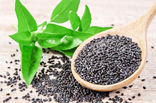 Image of NUTRIZAIKA Organic Sabja Seeds 100g | Basil Seeds Sabja, Tukmaria for Falooda, Digestion & Hydration - Gluten-Free, basil seeds for eating