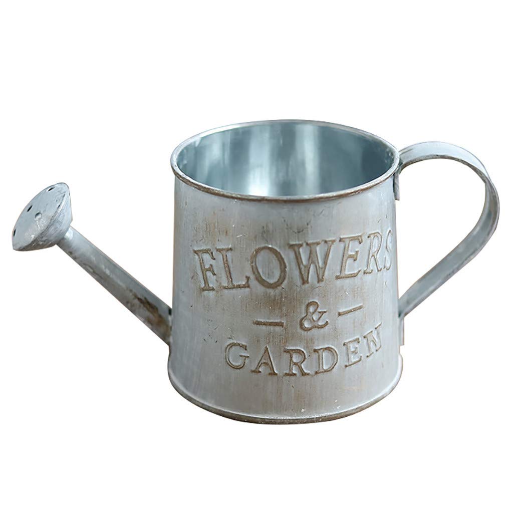 Mini Pot De Fleurs En Métal En Forme D'arrosoir Vintage – Décoration Maison Et Jardin (blanc) - 10