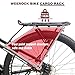 WEEROCK Bike Rear Rack Bicycle Cargo Rack Aluminium Alloy Adjustable Bicycle Carrier Luggage Rack for 24-29 Inch Bicycles, Mountain Bikes, MTB, Black
