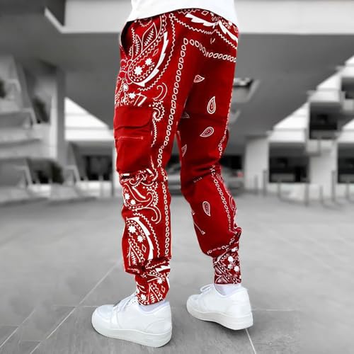 Mens Punk Cargo Pants Baggy Techwear Streetwear Paisley Hip Hop Loose Harem Jogger Pants Military Tactical Track Pant4