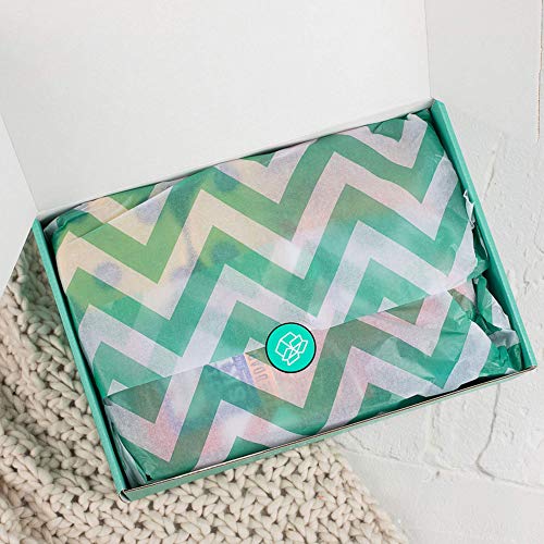 The Care Crate Co. Plant Lovers Gift Set (8 Item Care Package And Gift Box) Stone Planter, Macrame Plant Hanger, Plant Bloom Kit, Stainless Steel Drink Tumbler, Plant Pattern Socks And More #TOP5