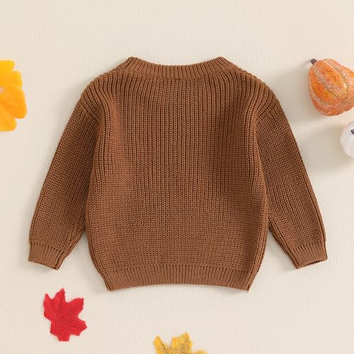 Little Boy Girl Halloween Sweater Pumpkin Ghost Print Crew Neck Long Sleeve Pullover Knit Tops for Winter Fall3