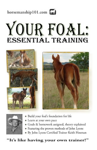 Your Foal: Essential Training (Horse Training How-To Book 5)