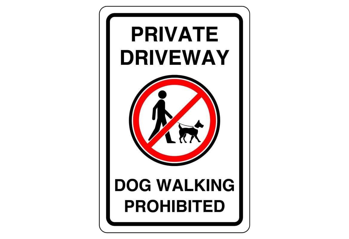 Señal Prohibitiva: "No Pasear Perros En Esta Zona" En Blanco, Rojo Y Negro. Plástico Estireno Calibre 40 Resistente A Exteriores, 20 X 20 Cm. Señalamiento, Cartel, Letrero Cuadrado, Señalización. | En Línea